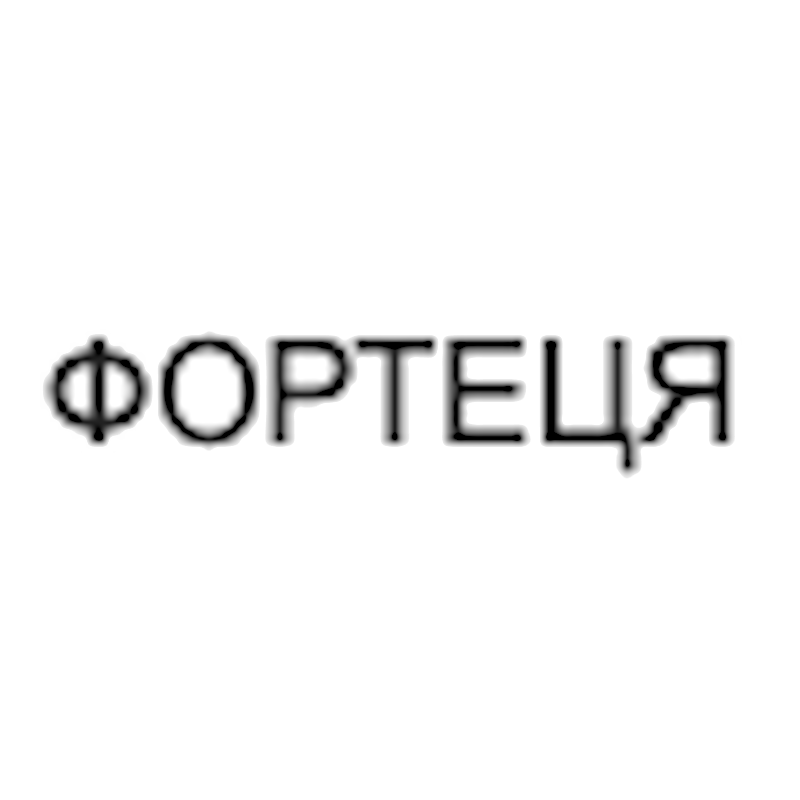 Дизельне паливо (Євро 5), АЗС ФОРТЕЦЯ, талон